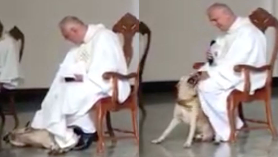 Foto perro muerde túnica de sacerdote durante la misa 18 junio 2019