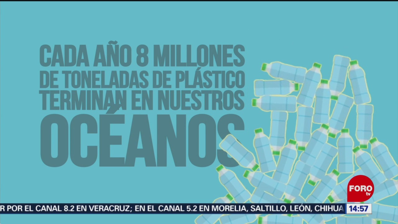 Foto: Día Mundial Oceanos Contaminación 7 Junio 2019