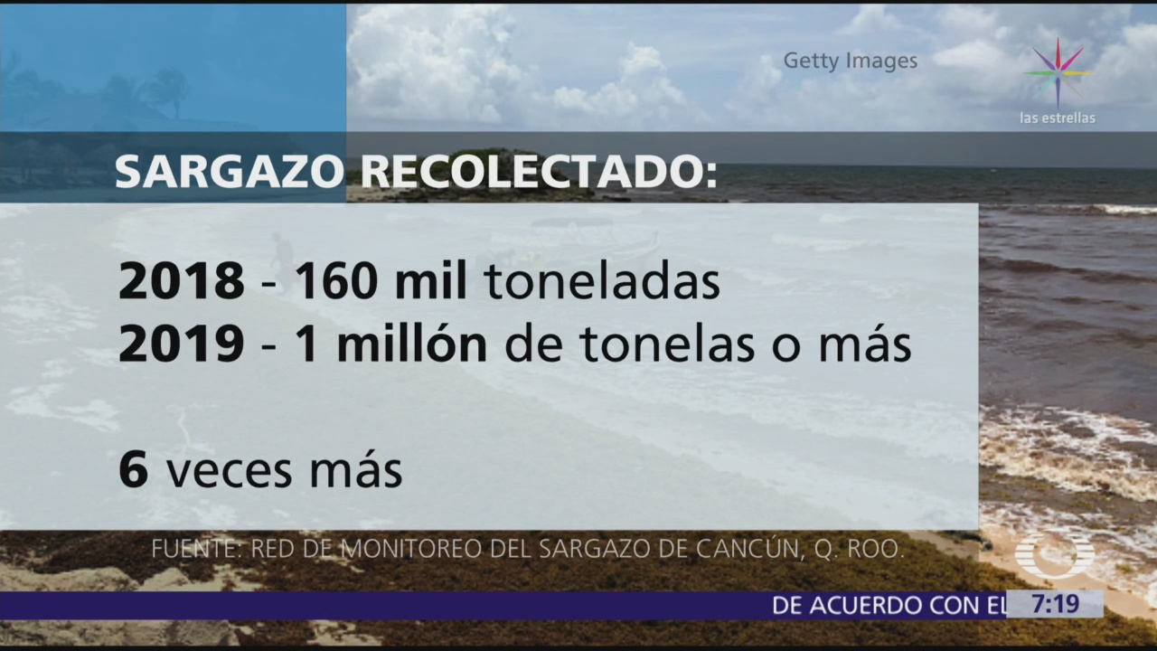 Pronostican llegada de un millón de toneladas de sargazo en Cancún