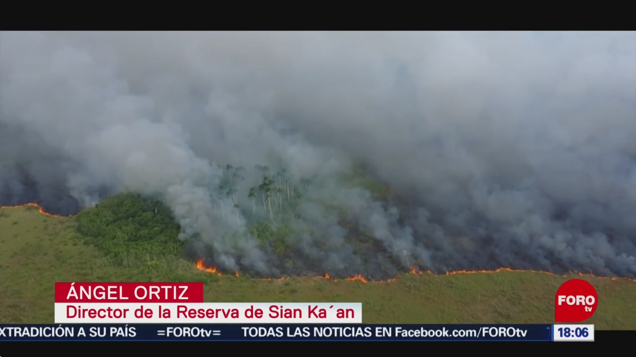 FOTO: 3 incendios acaban con miles de hectáreas en Quintana Roo, 20 Julio 2019