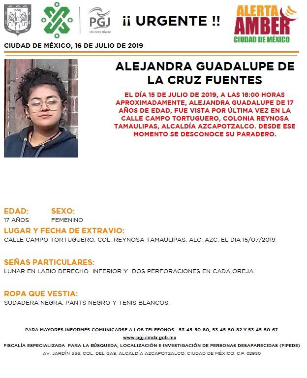 Foto Alerta Amber para Alejandra Guadalupe De la Cruz Fuentes 16 julio 2019