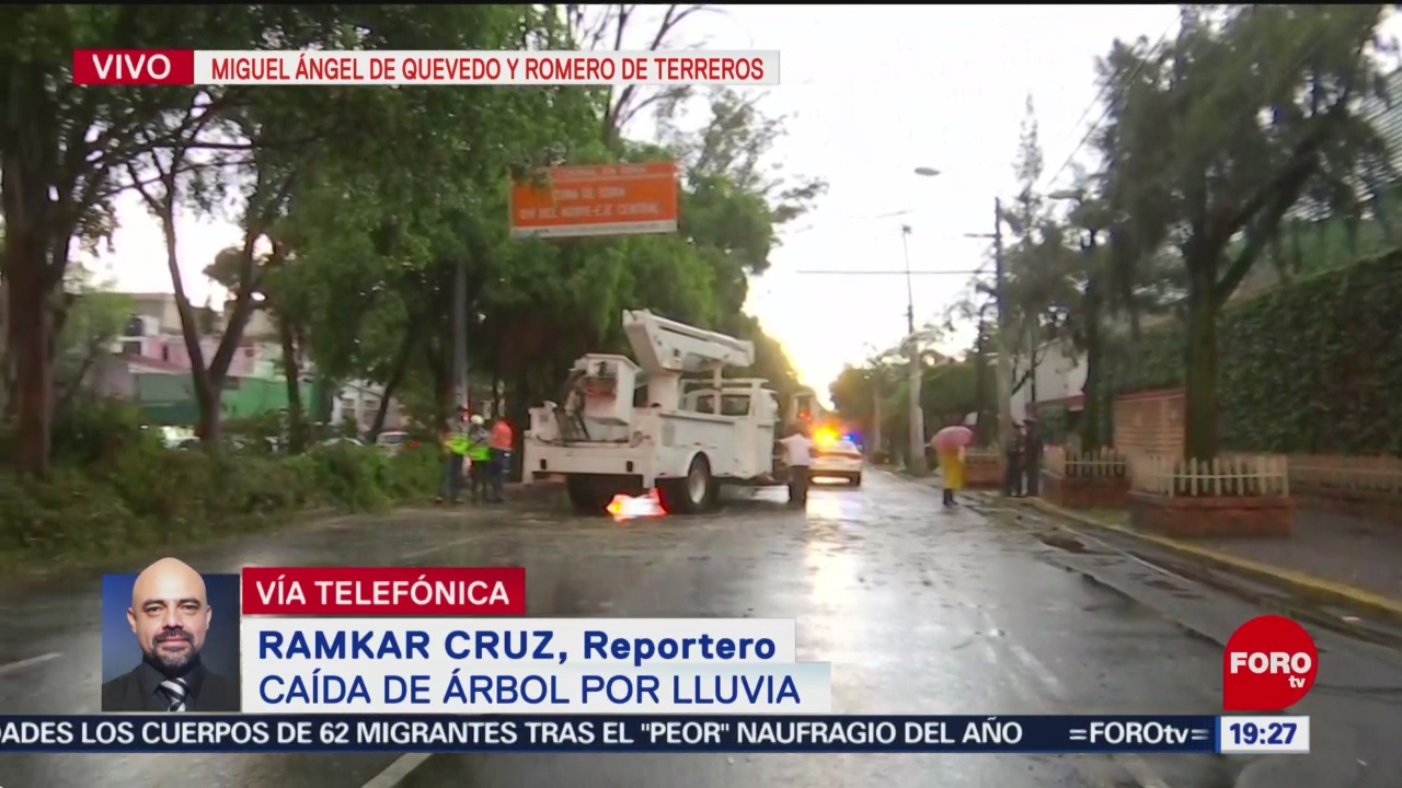 FOTO: Cae un árbol en Miguel Ángel de Quevedo en la CDMX, 28 Julio 2019