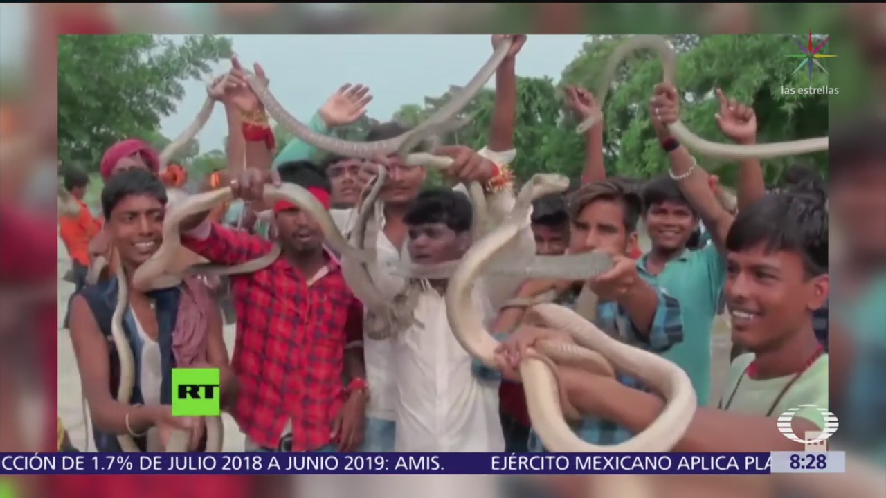 Calles de India se llenan de serpientes por festival religioso