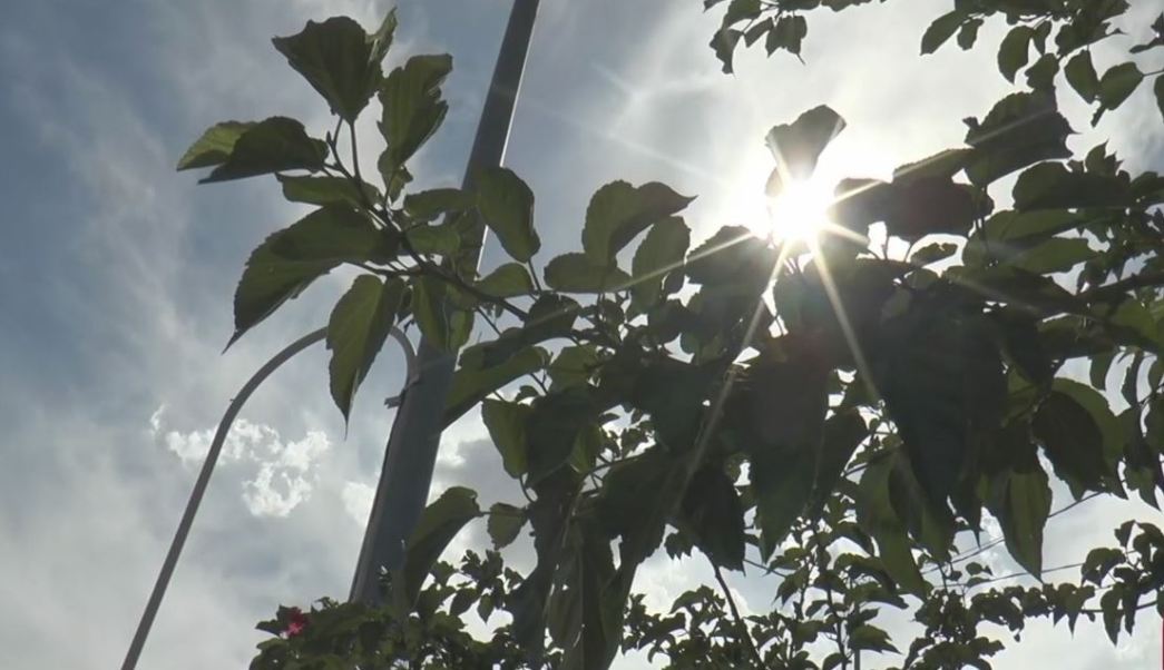 Colima supera récord histórico de calor para un mes de julio