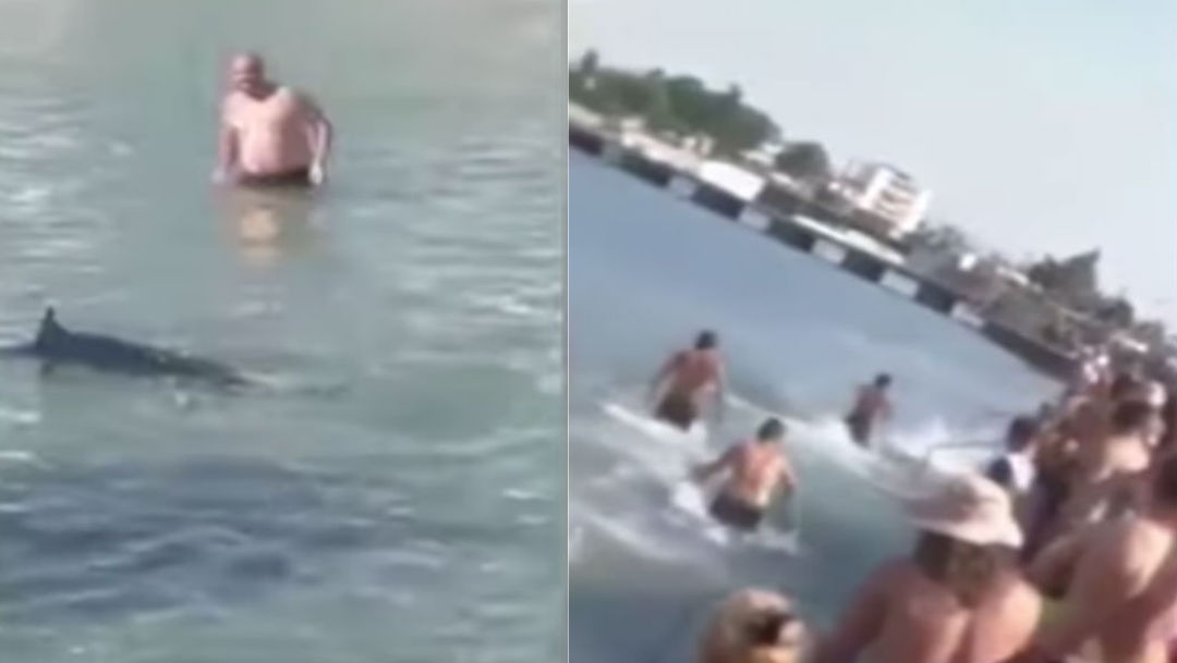 Foto Turistas atacan a pez espada, lo confunden con un tiburón 18 julio 2019
