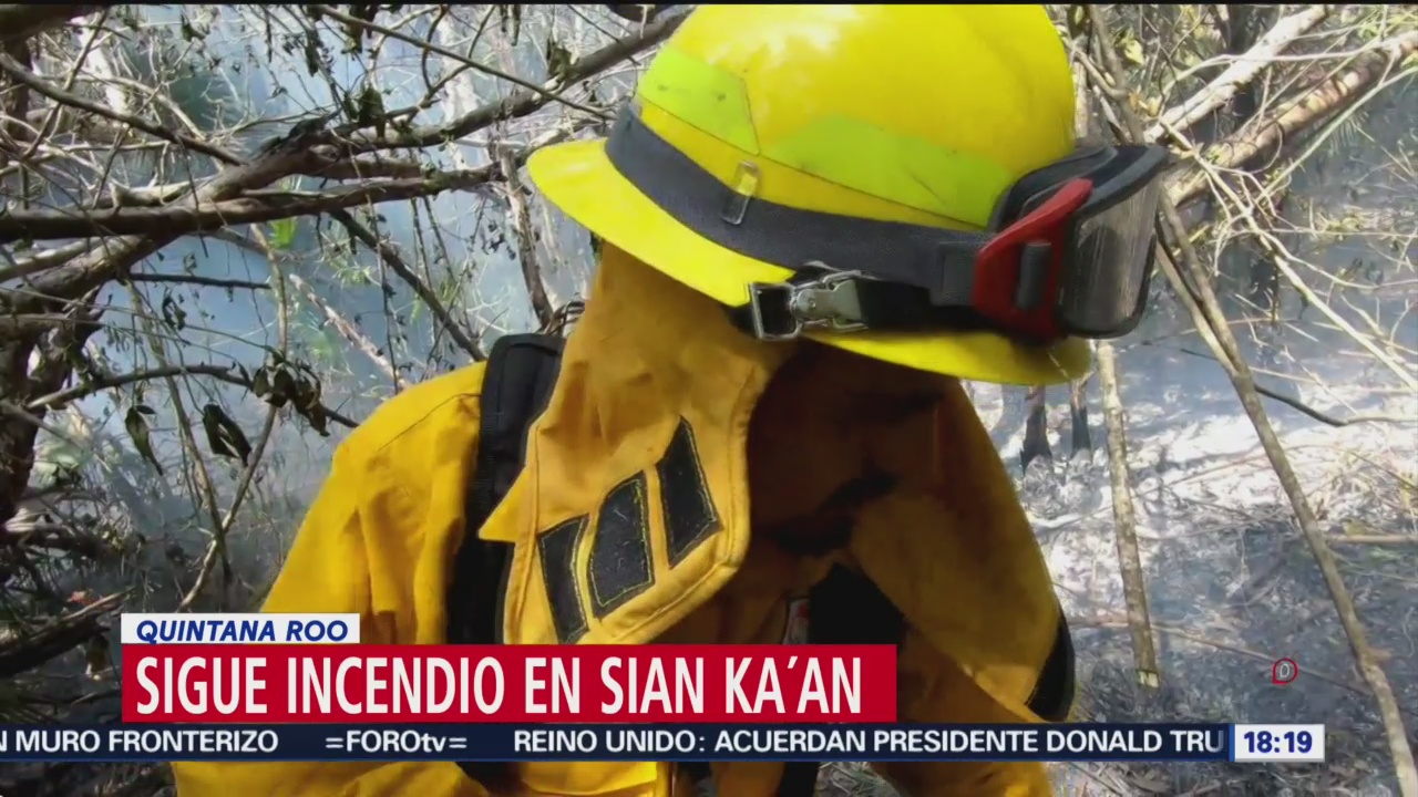 FOTO: Continúa incendio en la biosfera de Sian Ka´an en Quintana Roo, 27 Julio 2019