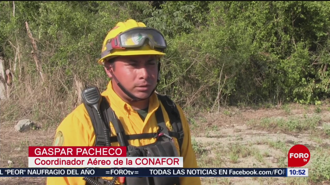 FOTO: Continúa incendio en reserva de Sian Ka´An en Quintana Roo, 21 Julio 2019