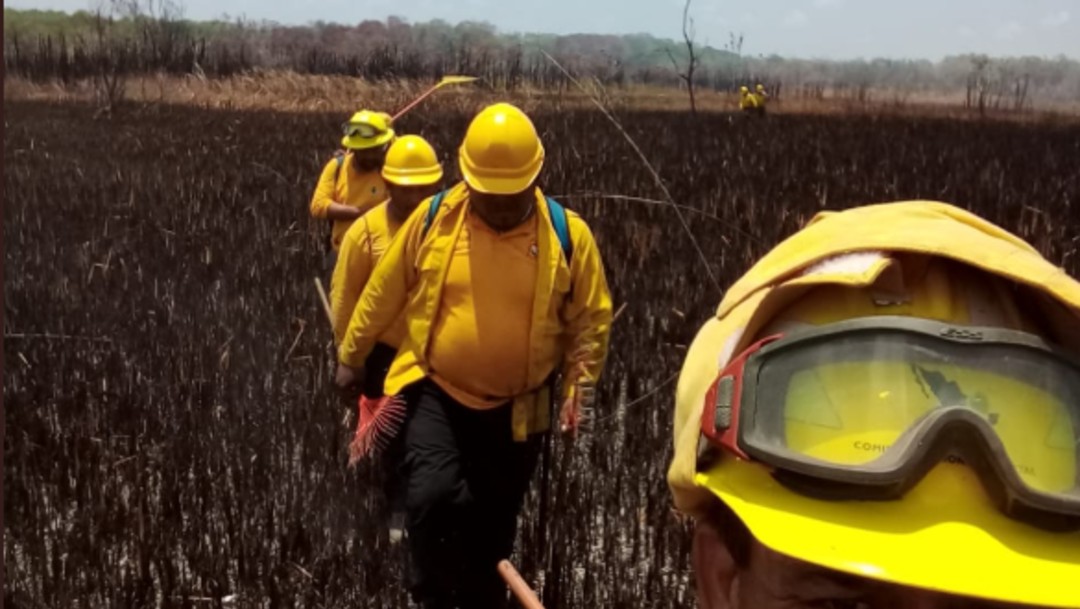 Continúa incendio en la Reserva de la biosfera de Sian Ka´an, Quintana Roo