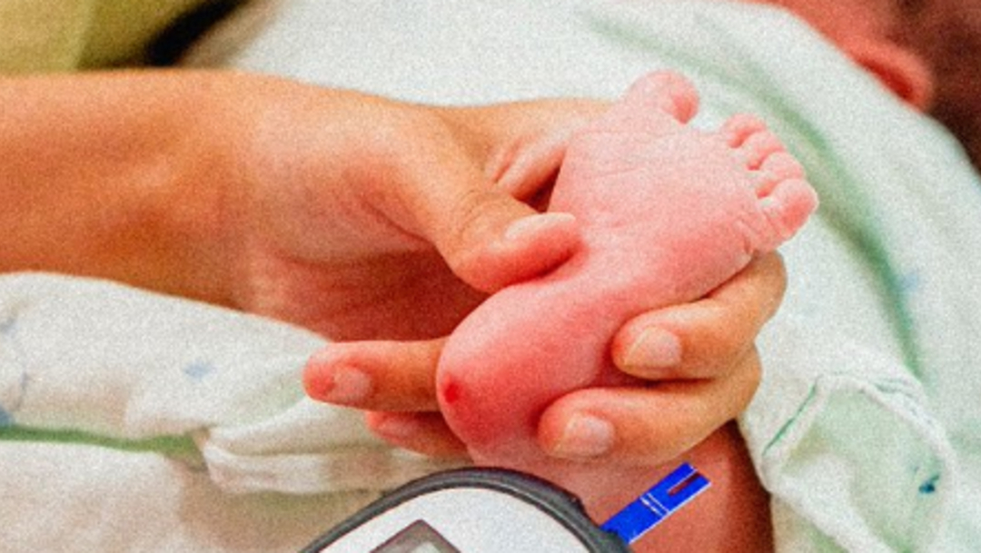 Desierta, licitación para pruebas de tamiz metabólico neonatal