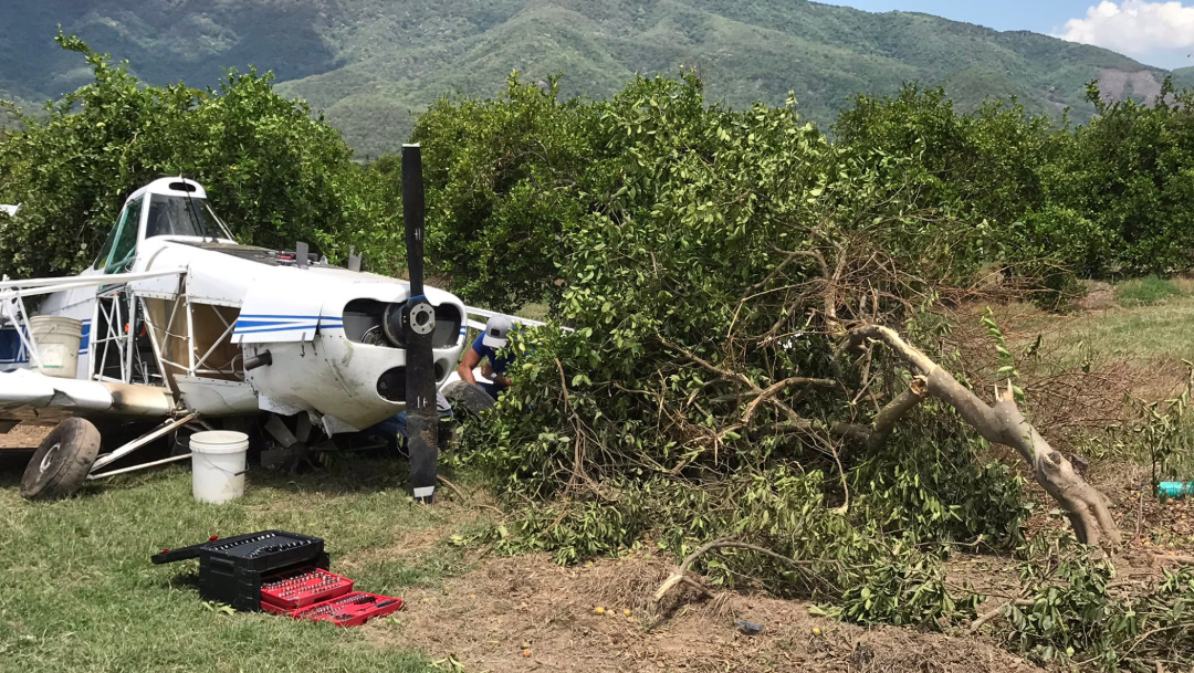 Foto: La avioneta cayó sobre una parcela de limón, 25 de julio de 2019 (Noticieros Televisa)