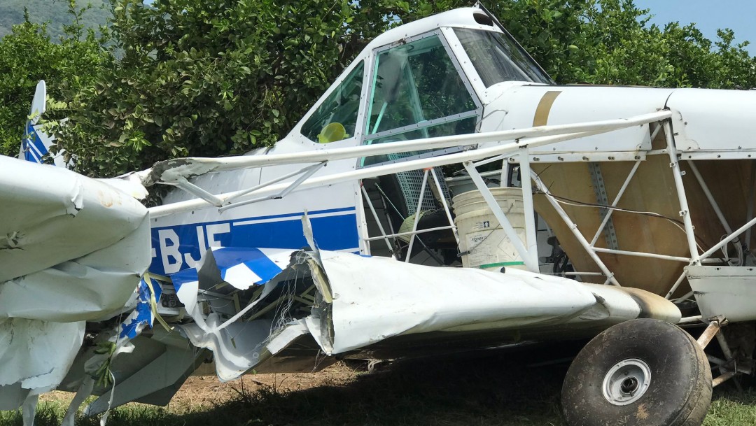 Foto: La avioneta cayó sobre una parcela de limón, 25 de julio de 2019 (Noticieros Televisa)