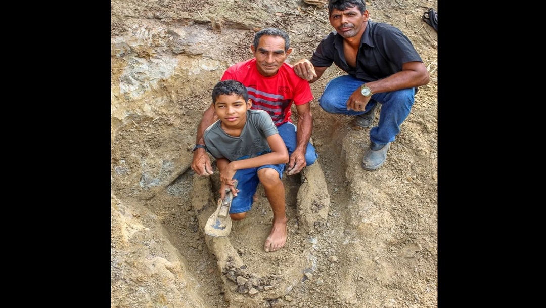 Niño descubre fósil de cocodrilo prehistórico que habitó hace ocho millones de años en la Amazonía de Brasil