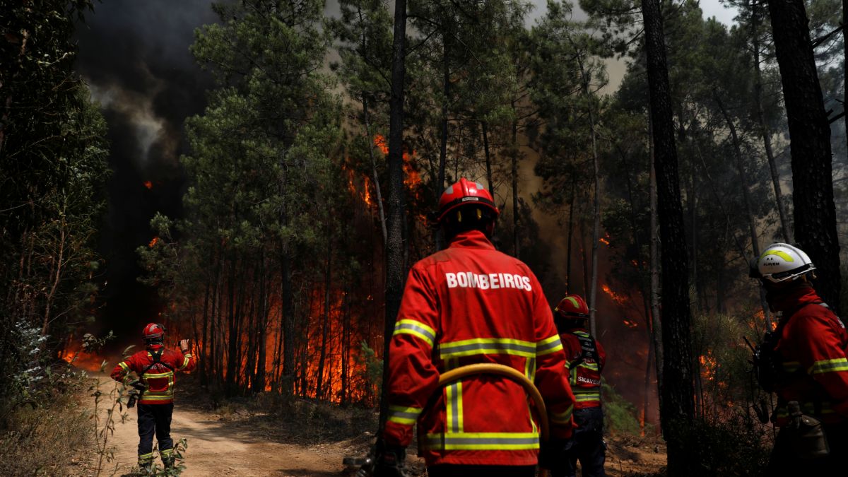 Foto: Un grupo de bomberos combaten el incendio forestal. El 22 de julio de 2019