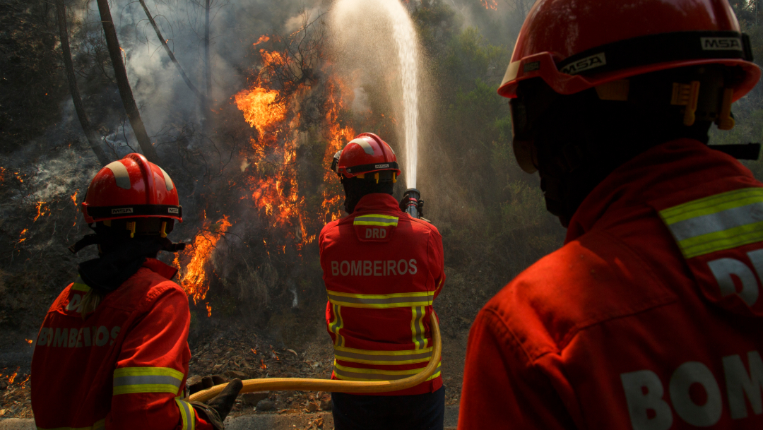 Foto: Los bomberos luchan por apagar el fuego, 20 de julio de 2019 (Getty Images)