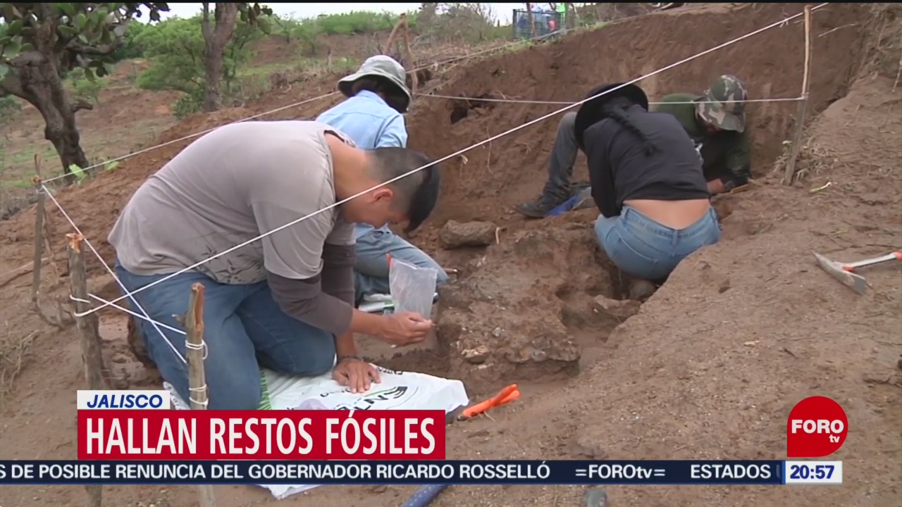 Foto: Hallan Restos Fósiles Zona Agrícola Jalisco 24 Julio 2019