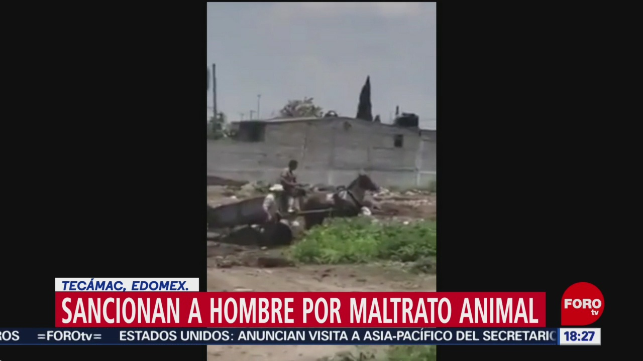 FOTO: Video Hombre maltrata caballo Tecamac