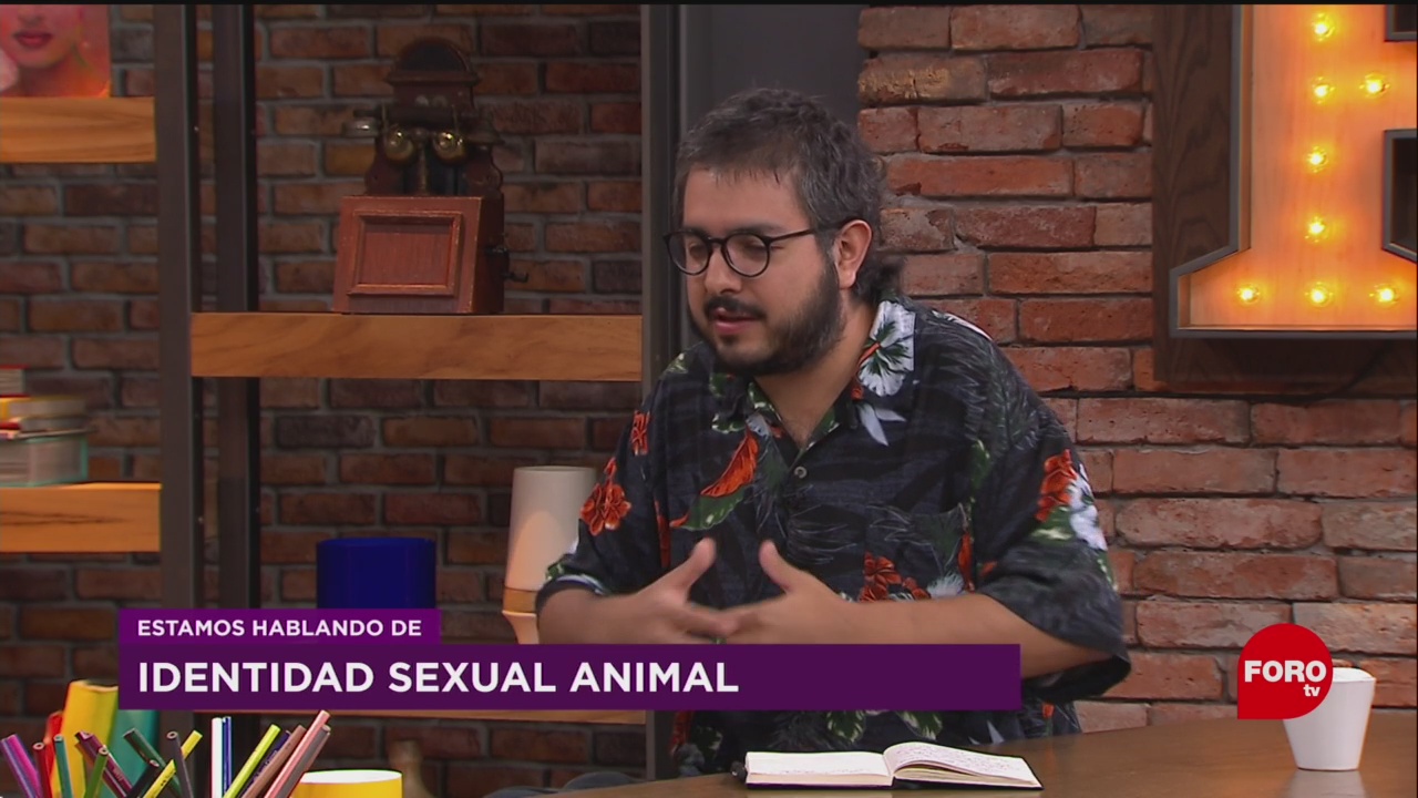 FOTO:Identidad sexual animal, 6 Julio 2019