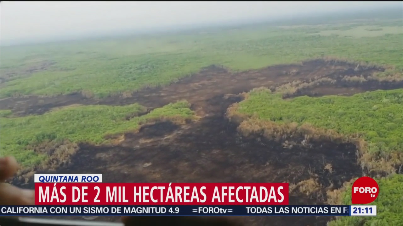 FOTO: Incendio afecta reserva de Sian Ka'an en Quintana Roo, 14 Julio 2019