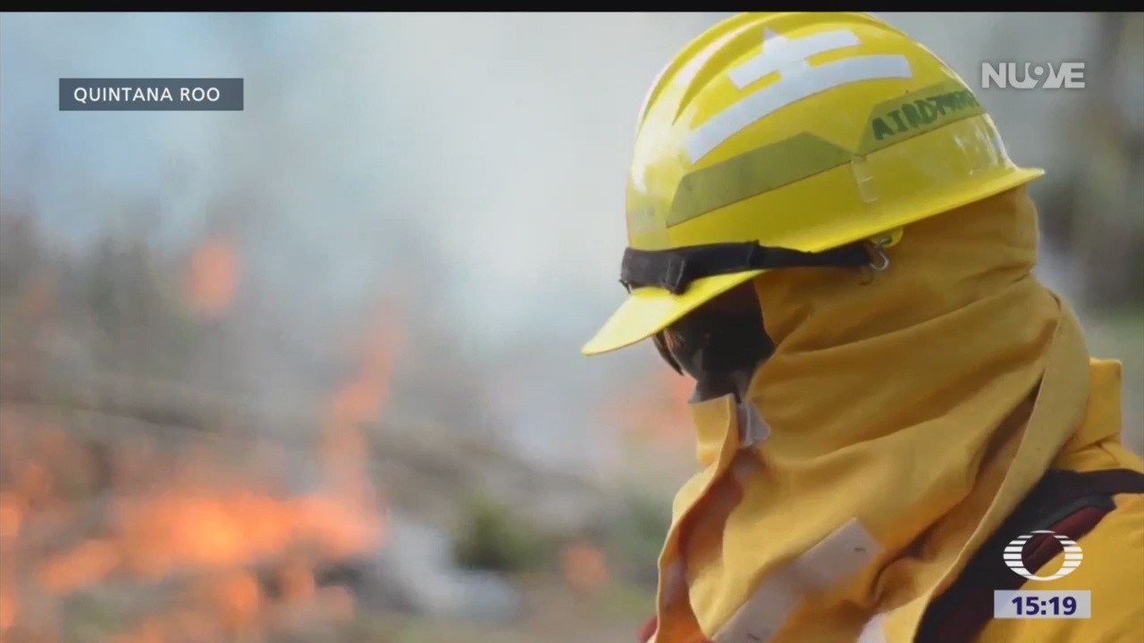 Incendio forestal ha destruido más de 2 mil hectáreas en la reserva de Sian Ka'an