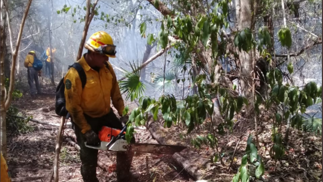 Foto: El incendio denominado Muyil en la Reserva de la biosfera de Sian Ka´an ha destruido 2,500 hectáreas de sabana y selva media, 20 de julio de 2019 (Twitter @CONAFOR)