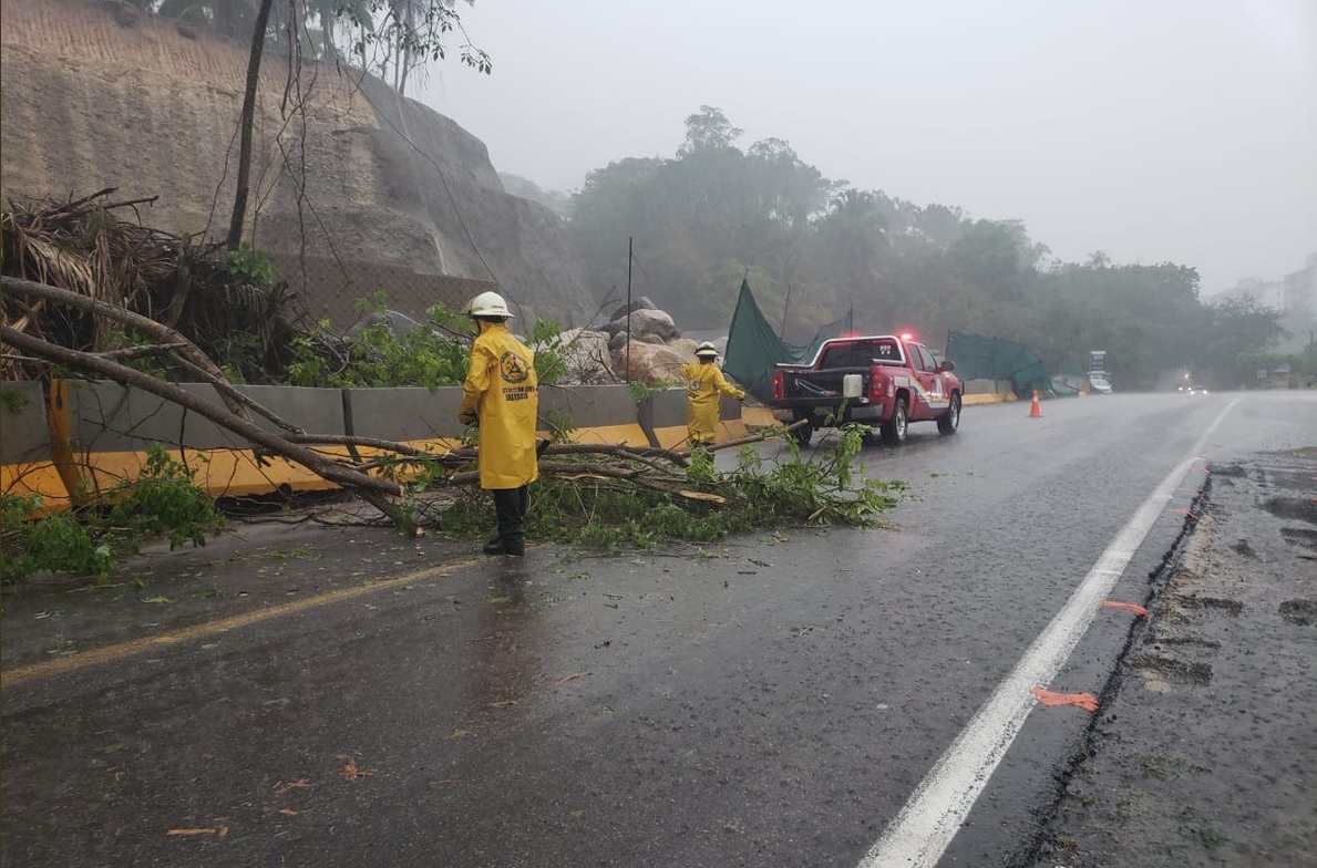 Caída de árboles tras lluvia en Jalisco.