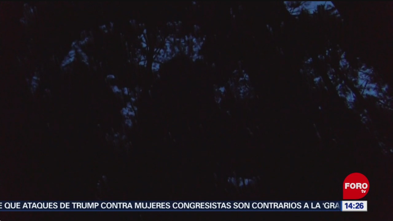 Luciérnagas alumbran bosques de Tlaxcala