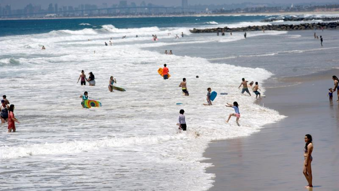 Foto: Las autoridades emiten alerta en las playas de San Diego California por aumento en picaduras de rayas, el 6 de julio de 2019 (EFE, archivo)