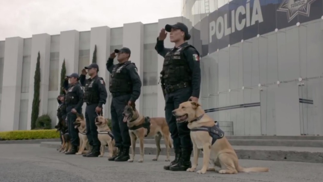 Unidad Canina de la Policía Federal pide reintegrarse a Guardia Nacional