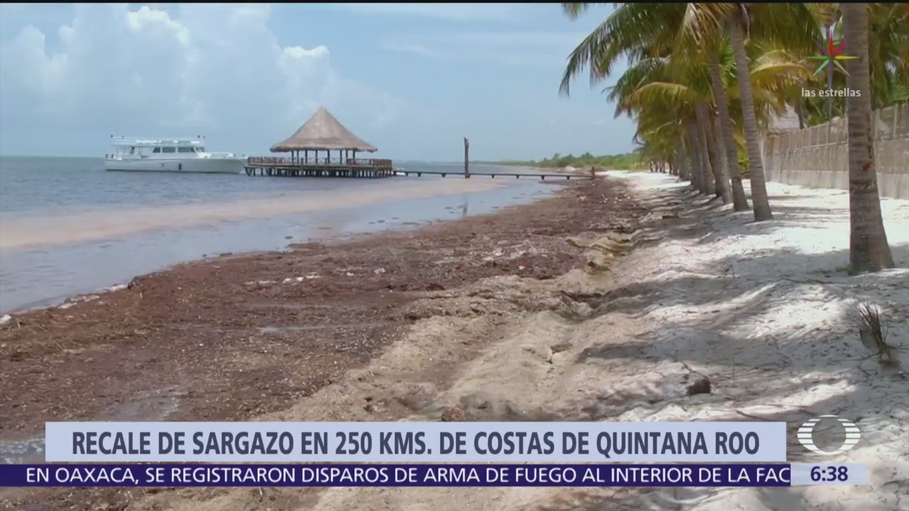 Quintana Roo se prepara para llegada masiva de sargazo
