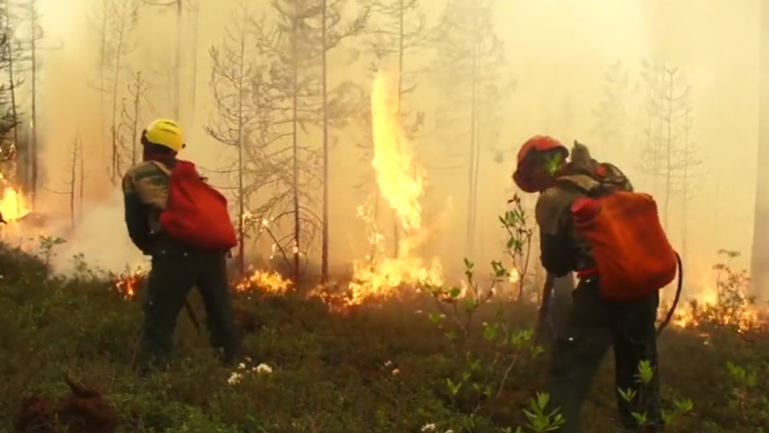 Foto: Incendios forestales en Rusia, 26 de julio de 2019