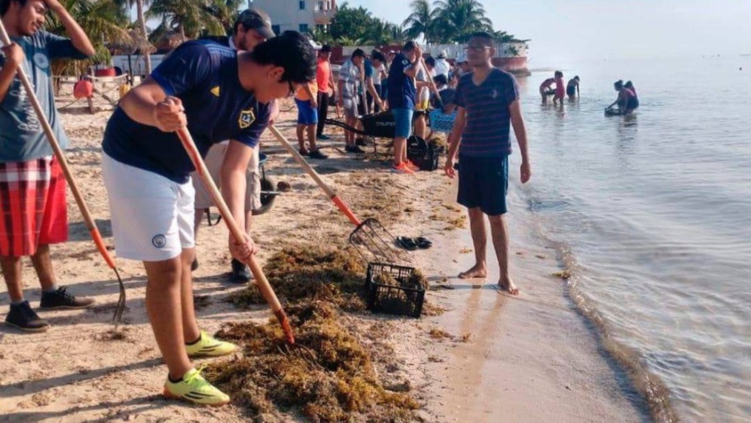 Foto: Una mancha de sargazo toca tierra en las playas al sur de Quintana Roo; otra llegó a Tulum y una tercera a la Riviera Maya, julio 7 de 2019 (Twitter: @QRooUnidos)