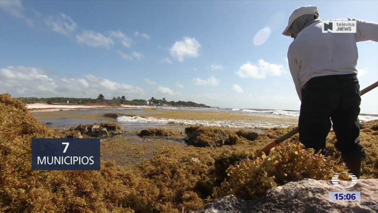 Foto: Se han retirado más de 40 mil toneladas de sargazo en playas de Cancún