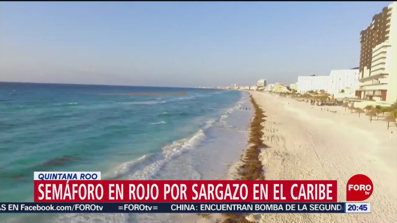 Foto: Semáforo Rojo Sargazo Quintana Roo 19 Julio 2019