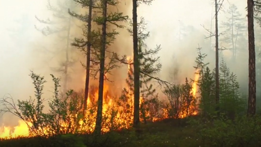 Foto: Incendios forestales en Rusia, 26 de julio de 2019, Rusia