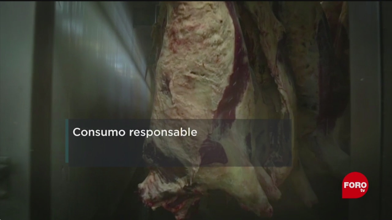 FOTO: UNAM propone a ganaderos consumo responsable, 7 Julio 2019