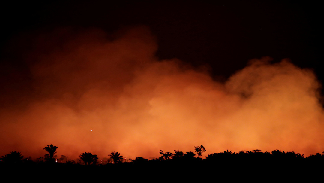 Así es el escenario que deja el incendio forestal del Amazonas