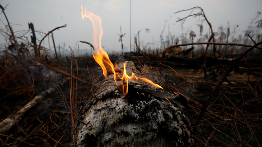 Amazonas arde y Brasil rechaza ayuda del G7 para combatir incendios