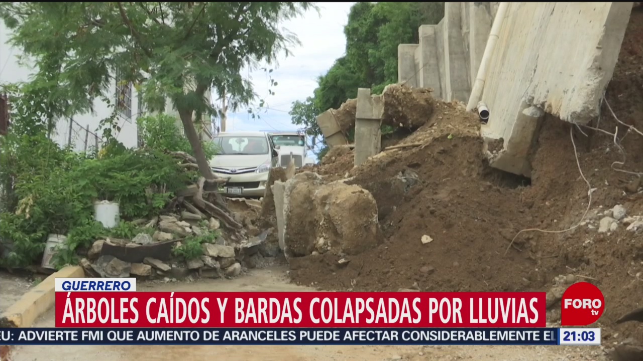 FOTO: Árboles caídos y bardas colapsadas por lluvias en Guerrero, 10 Agosto 2019