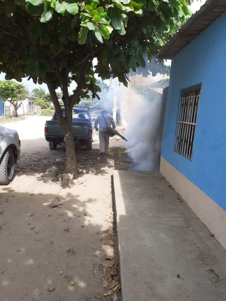 Foto Aumentan los casos de dengue en Oaxaca 14 agosto 2019