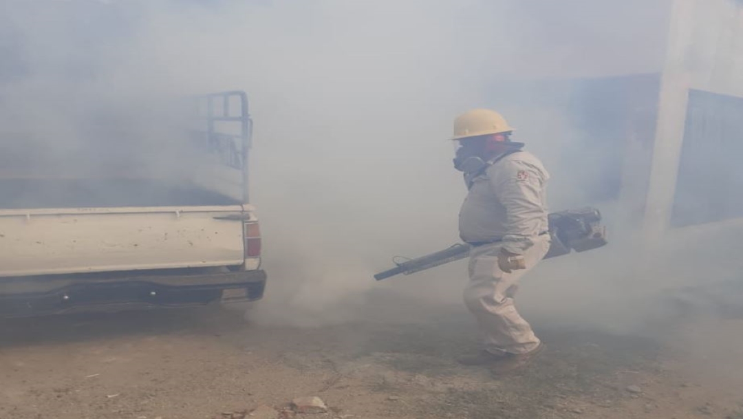 Foto Aumentan los casos de dengue en Oaxaca 14 agosto 2019