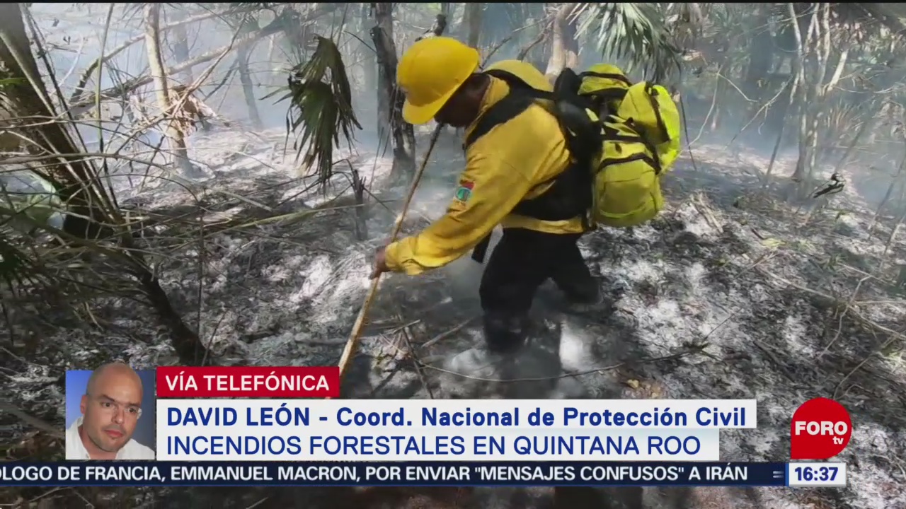 Foto: Avanza control incendio reserva Sian Ka'an David León