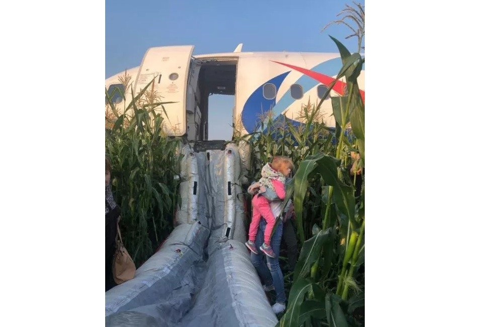 Avión ruso choca con parvada y aterriza de emergencia en campo de maíz