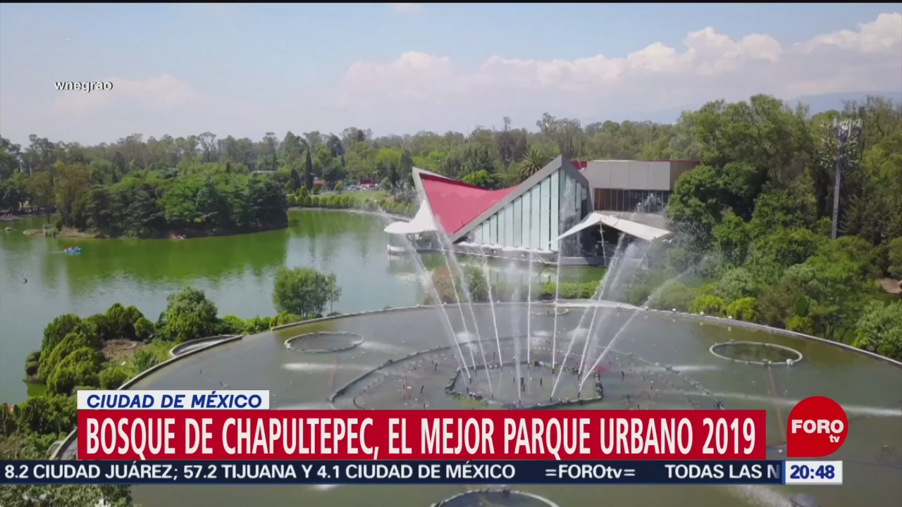 Foto: Bosque De Chapultepec Mejor Parque Urbano Mundo 13 Agosto 2019
