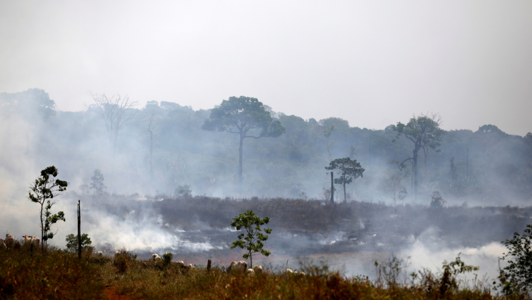 Imagen: La Amazonía ha registrado más de la mitad de los 71.497 incendios forestales detectados en Brasil entre enero y agosto de este año, 31 de agosto de 2019(Reuters, archivo)