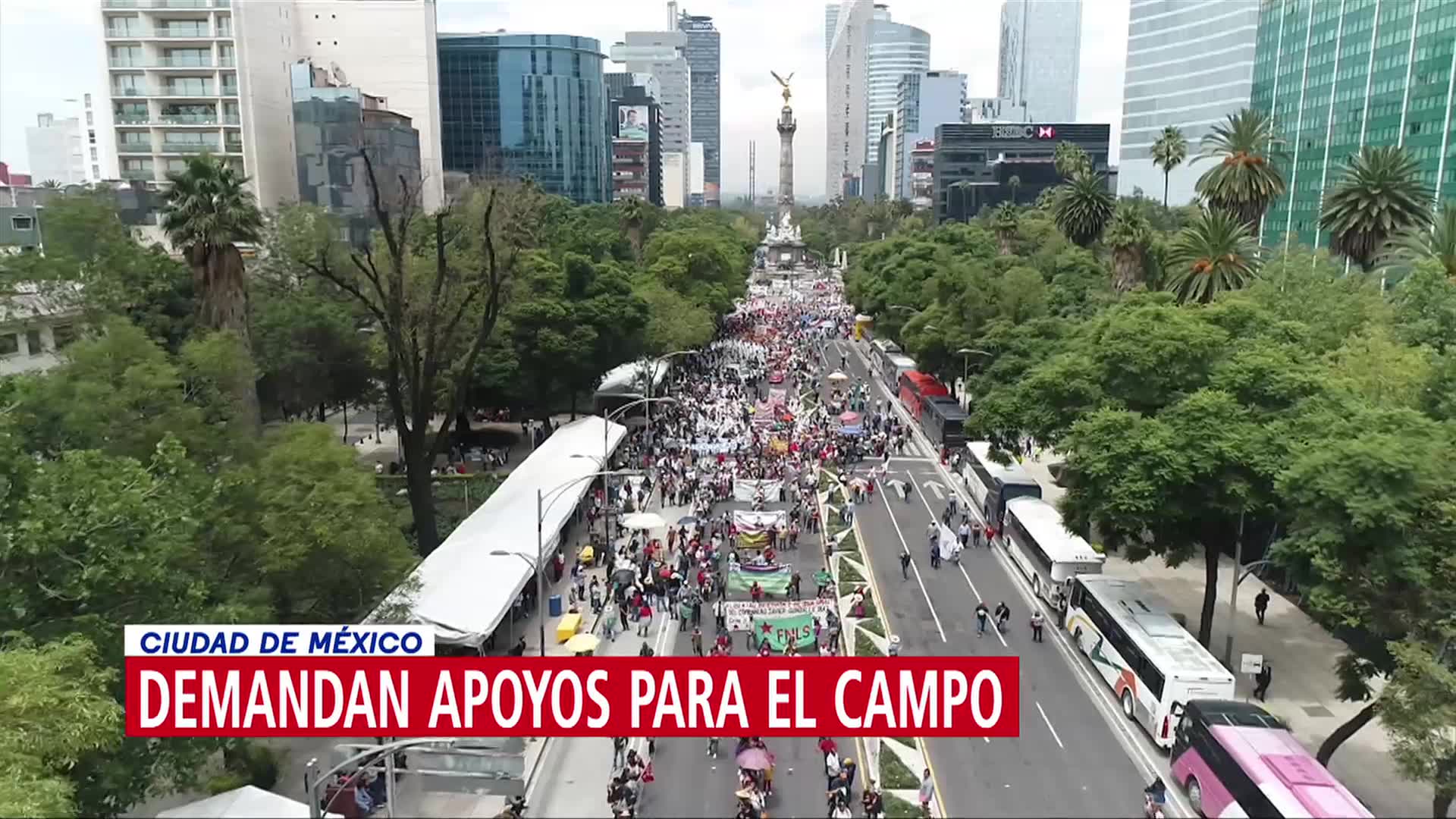 Foto: Campesinos Protestan Calles Cdmx Exigen Apoyo Campo 8 Agosto 2019