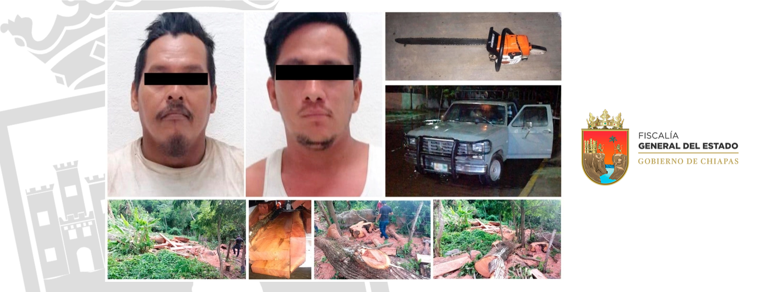 FOTO Chiapas sentencia a 2 hombres a sembrar árboles por ecocidio (Fiscalía de Chiapas)