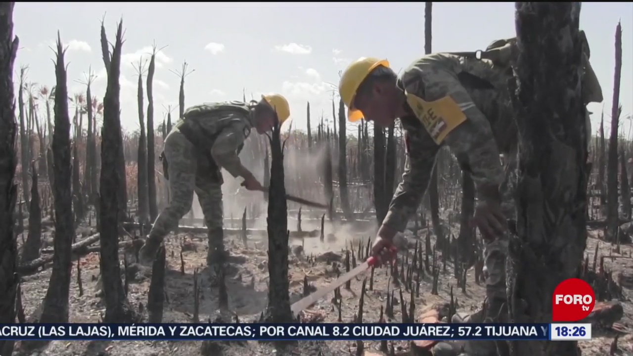 FOTO: Controlan incendio Sian Ka'an Quintana Roo