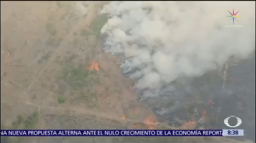 Declaran más de mil nuevos incendios en Brasil
