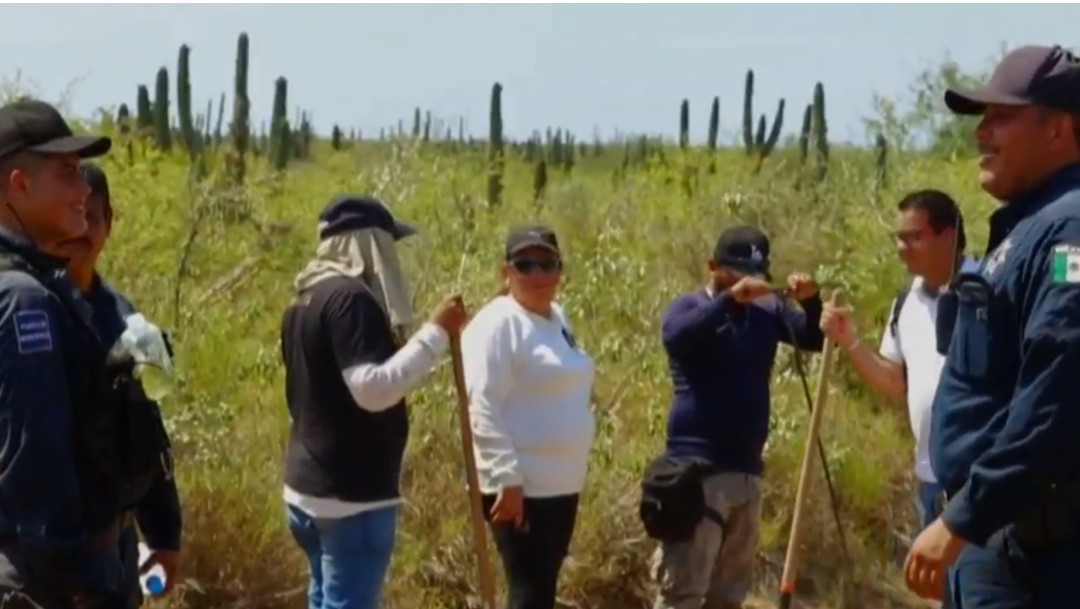 Foto: Buscan a personas desaparecidas, agosto 2019, Sinaloa