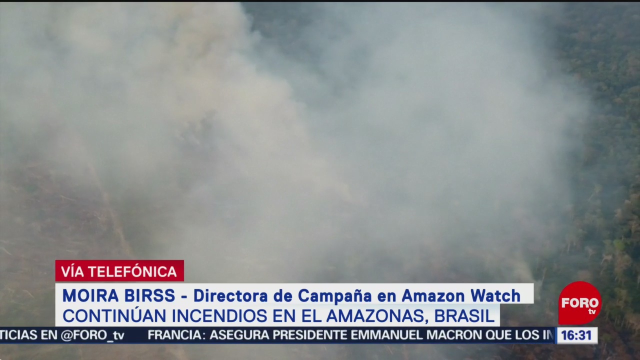 Foto: Apoyo Bolsonaro Controlar Incendios Amazonía Selva 22 Agosto 2019